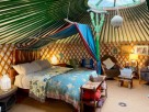 Woodland Yurt & Cabin near the Blackdown Hills, Devon, England